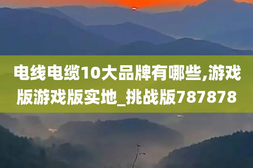 电线电缆10大品牌有哪些,游戏版游戏版实地_挑战版787878