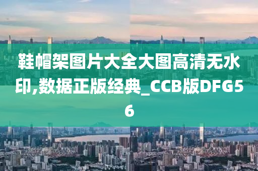 鞋帽架图片大全大图高清无水印,数据正版经典_CCB版DFG56