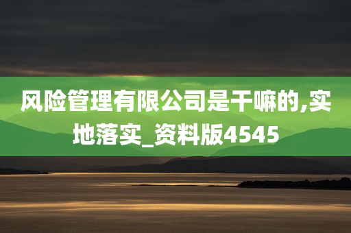 风险管理有限公司是干嘛的,实地落实_资料版4545