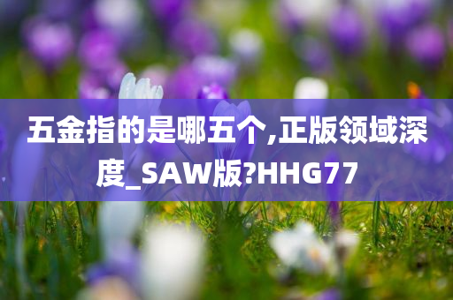 五金指的是哪五个,正版领域深度_SAW版?HHG77