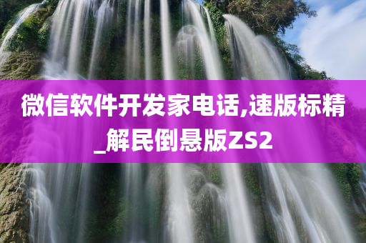 微信软件开发家电话,速版标精_解民倒悬版ZS2