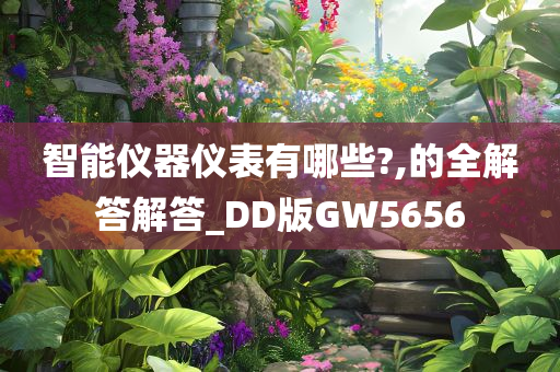 智能仪器仪表有哪些?,的全解答解答_DD版GW5656