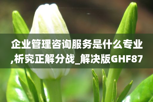 企业管理咨询服务是什么专业,析究正解分战_解决版GHF87