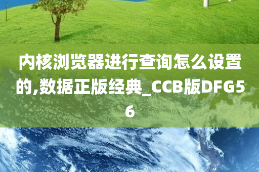 内核浏览器进行查询怎么设置的,数据正版经典_CCB版DFG56