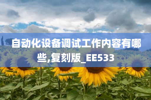 自动化设备调试工作内容有哪些,复刻版_EE533