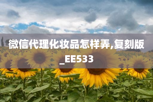 微信代理化妆品怎样弄,复刻版_EE533