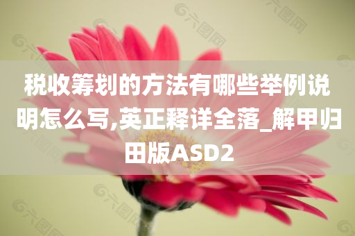 税收筹划的方法有哪些举例说明怎么写,英正释详全落_解甲归田版ASD2