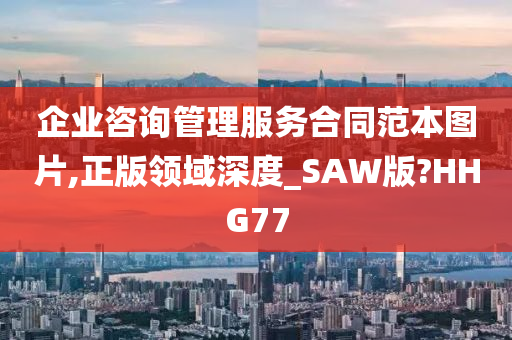 企业咨询管理服务合同范本图片,正版领域深度_SAW版?HHG77