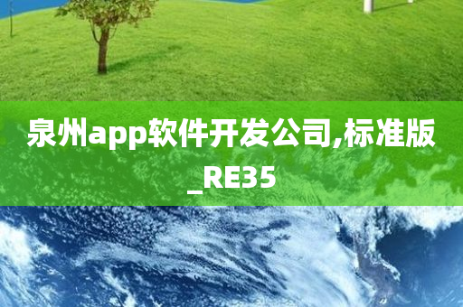 泉州app软件开发公司,标准版_RE35