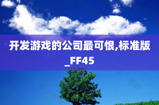 开发游戏的公司最可恨,标准版_FF45