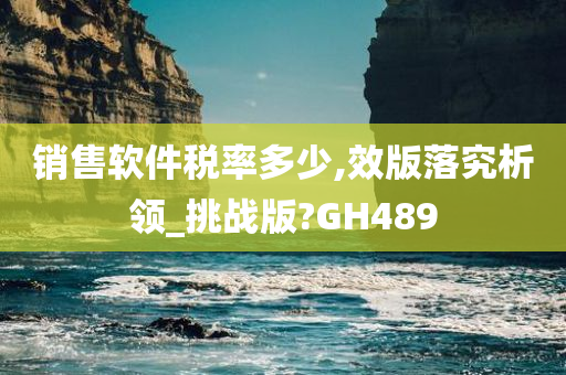 销售软件税率多少,效版落究析领_挑战版?GH489