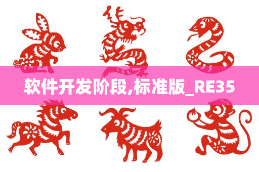 软件开发阶段,标准版_RE35