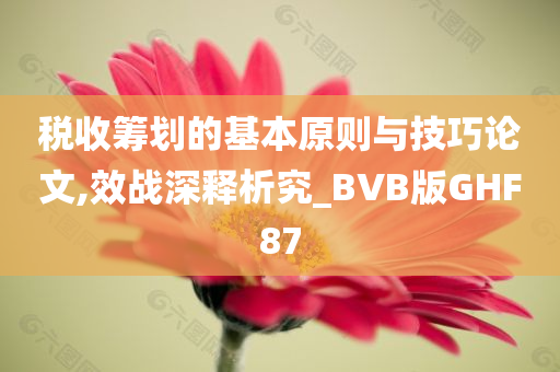 税收筹划的基本原则与技巧论文,效战深释析究_BVB版GHF87