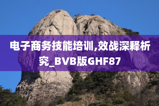 电子商务技能培训,效战深释析究_BVB版GHF87