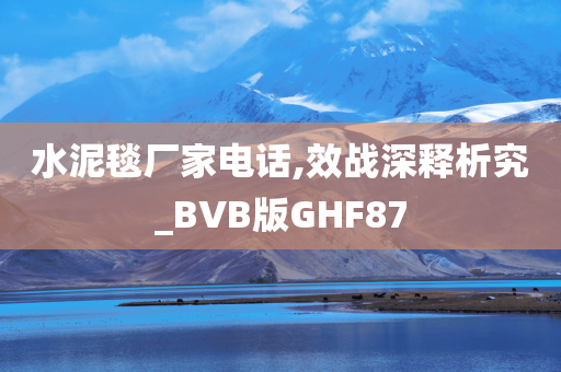 水泥毯厂家电话,效战深释析究_BVB版GHF87