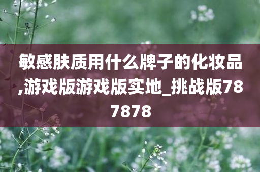 敏感肤质用什么牌子的化妆品,游戏版游戏版实地_挑战版787878