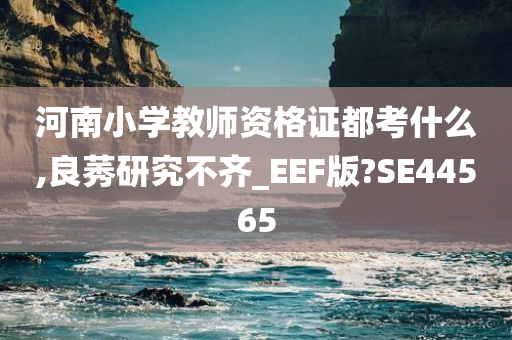 河南小学教师资格证都考什么,良莠研究不齐_EEF版?SE44565