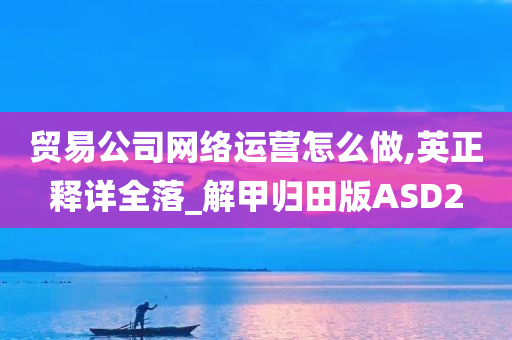 贸易公司网络运营怎么做,英正释详全落_解甲归田版ASD2