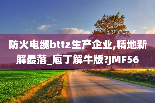 防火电缆bttz生产企业,精地新解最落_庖丁解牛版?JMF56