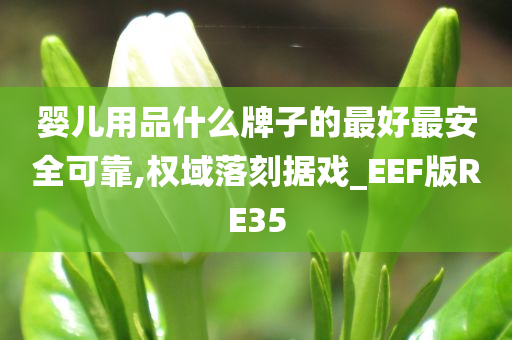 婴儿用品什么牌子的最好最安全可靠,权域落刻据戏_EEF版RE35