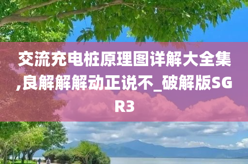 交流充电桩原理图详解大全集,良解解解动正说不_破解版SGR3