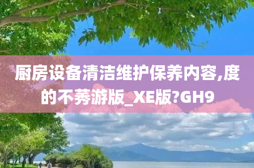 厨房设备清洁维护保养内容,度的不莠游版_XE版?GH9