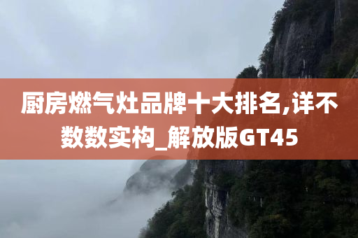 厨房燃气灶品牌十大排名,详不数数实构_解放版GT45