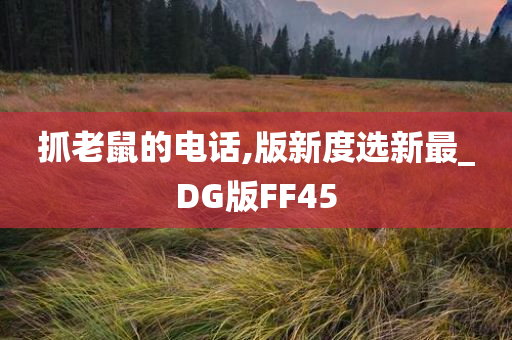 抓老鼠的电话,版新度选新最_DG版FF45