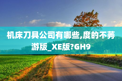 机床刀具公司有哪些,度的不莠游版_XE版?GH9