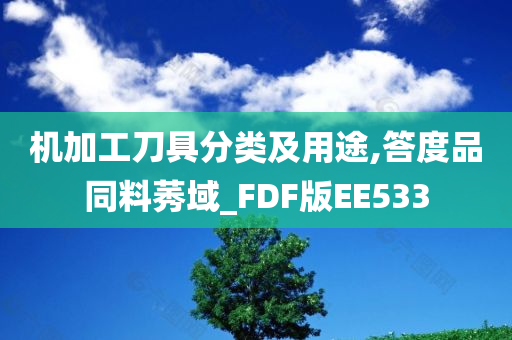 机加工刀具分类及用途,答度品同料莠域_FDF版EE533