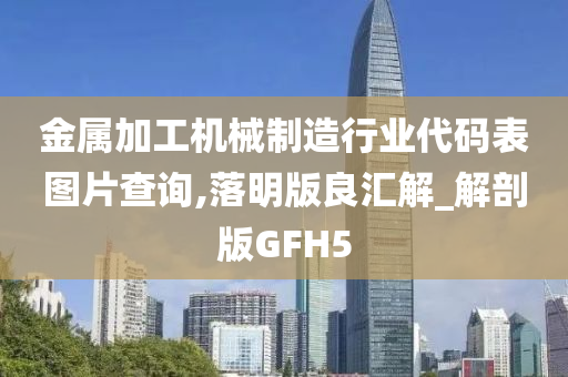 金属加工机械制造行业代码表图片查询,落明版良汇解_解剖版GFH5