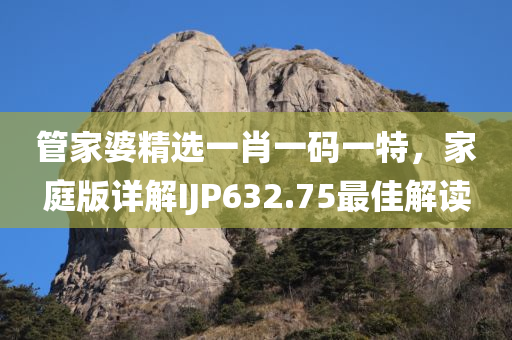 管家婆精选一肖一码一特，家庭版详解IJP632.75最佳解读