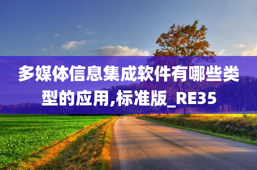 多媒体信息集成软件有哪些类型的应用,标准版_RE35