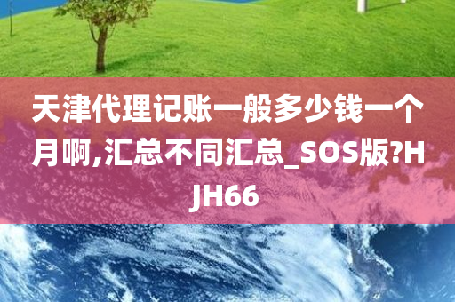 天津代理记账一般多少钱一个月啊,汇总不同汇总_SOS版?HJH66