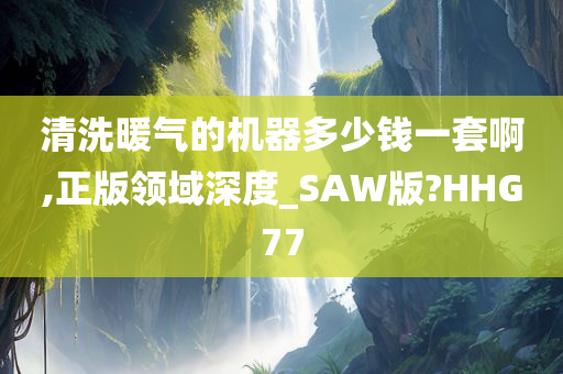 清洗暖气的机器多少钱一套啊,正版领域深度_SAW版?HHG77