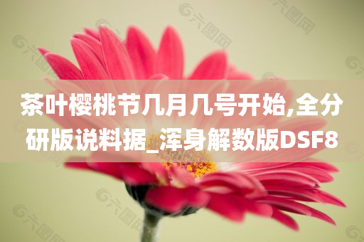 茶叶樱桃节几月几号开始,全分研版说料据_浑身解数版DSF8