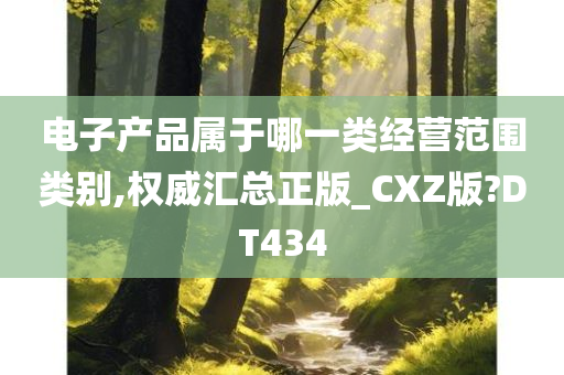 电子产品属于哪一类经营范围类别,权威汇总正版_CXZ版?DT434