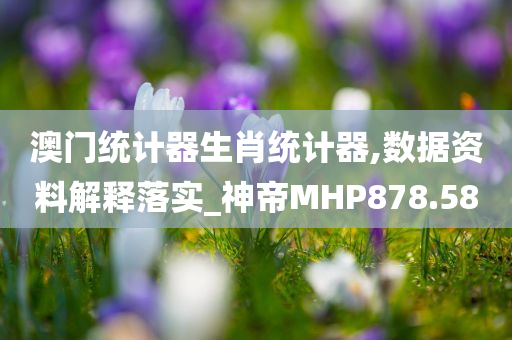 澳门统计器生肖统计器,数据资料解释落实_神帝MHP878.58