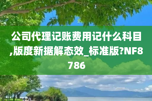 公司代理记账费用记什么科目,版度新据解态效_标准版?NF8786