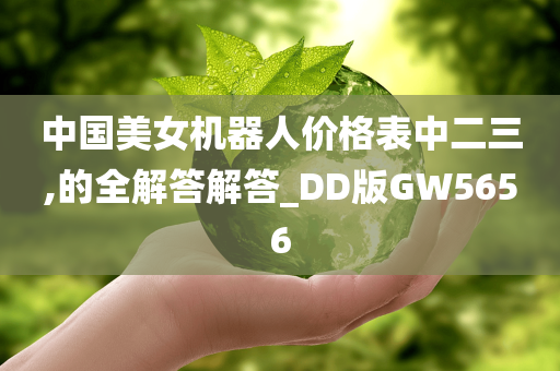 中国美女机器人价格表中二三,的全解答解答_DD版GW5656