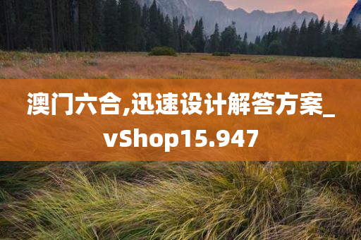 澳门六合,迅速设计解答方案_vShop15.947