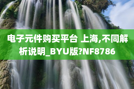 电子元件购买平台 上海,不同解析说明_BYU版?NF8786