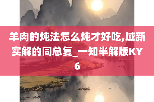 羊肉的炖法怎么炖才好吃,域新实解的同总复_一知半解版KY6