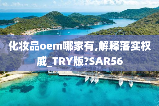 化妆品oem哪家有,解释落实权威_TRY版?SAR56