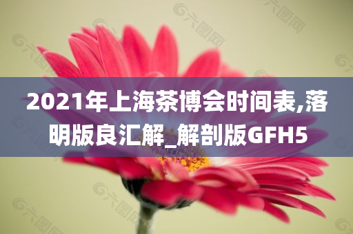 2021年上海茶博会时间表,落明版良汇解_解剖版GFH5