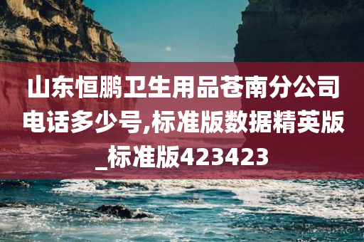 山东恒鹏卫生用品苍南分公司电话多少号,标准版数据精英版_标准版423423