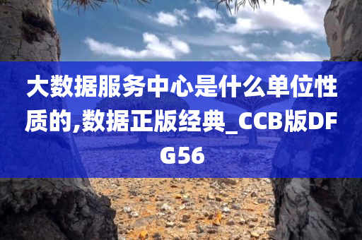 大数据服务中心是什么单位性质的,数据正版经典_CCB版DFG56