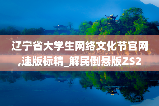 辽宁省大学生网络文化节官网,速版标精_解民倒悬版ZS2