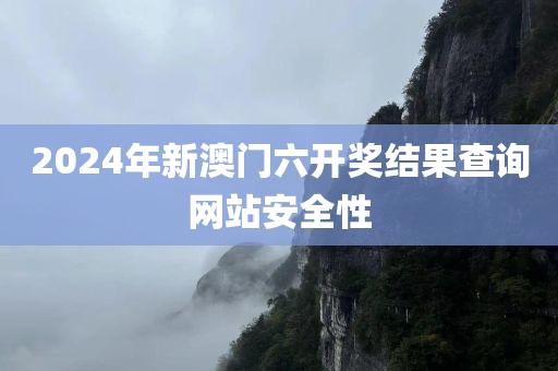 2024年新澳门六开奖结果查询网站安全性