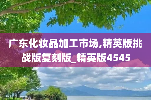 广东化妆品加工市场,精英版挑战版复刻版_精英版4545